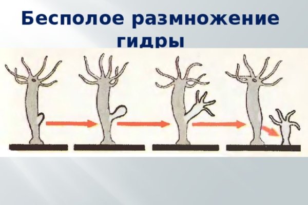 Как сделать заказ на кракен