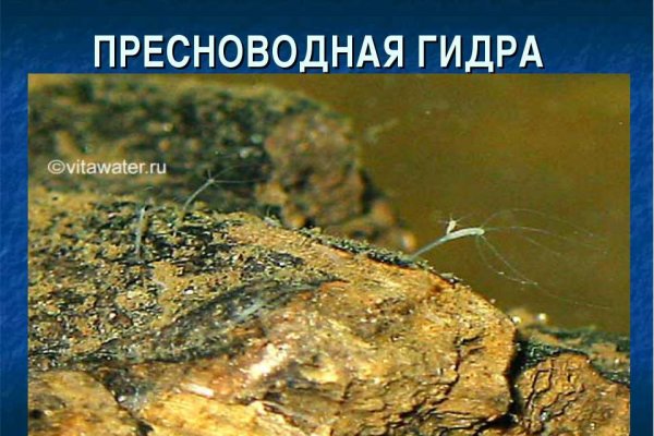Kraken зеркало стор