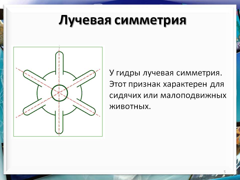 Вывести деньги с кракена