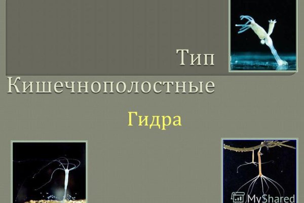 Ссылка на кракен шоп