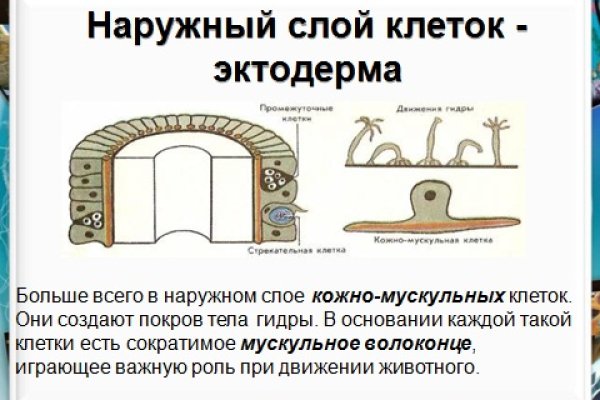 Кракен торговая