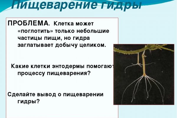 Как открыть ссылку с кракена