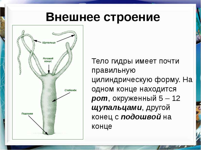 Kraken ссылки актуальные 2025 г